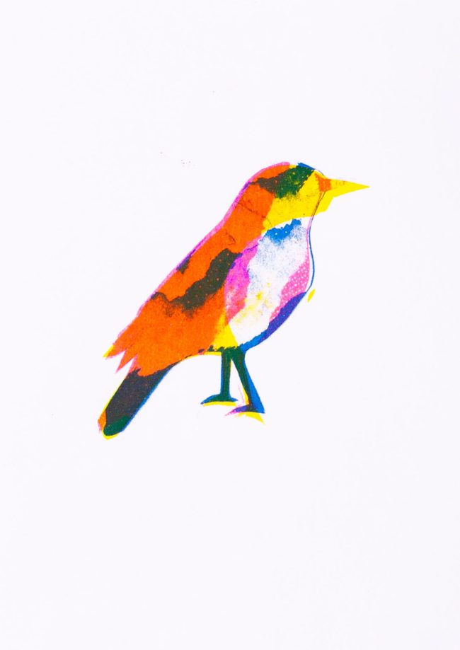 Migrant Birds (Pira Tin), 2018