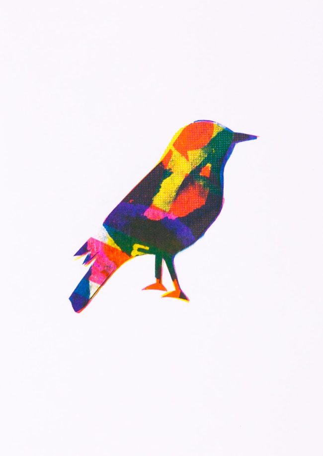 Migrant Birds (Pira Tin), 2018