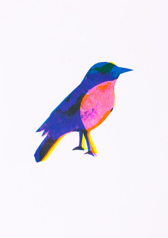 Migrant Birds (Pira Tin), 2018